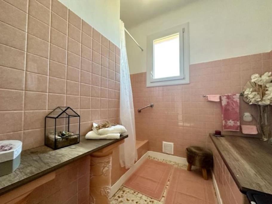 Appartement St Laurent Saint-Laurent-de-la-Salanque Extérieur photo